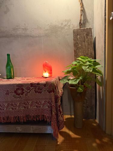 a table with a plant and a candle on it at Lola Sayong Meredith in Gubat