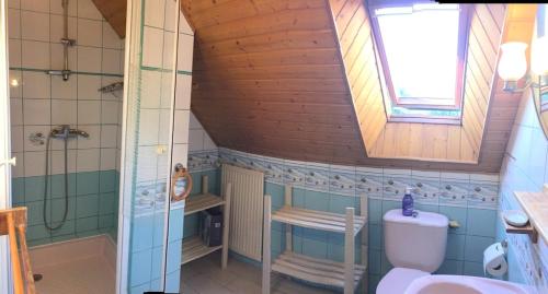 a bathroom with a shower and a toilet and a sink at Gîte à la ferme I An Ti Ar Sav Heol in Sarzeau