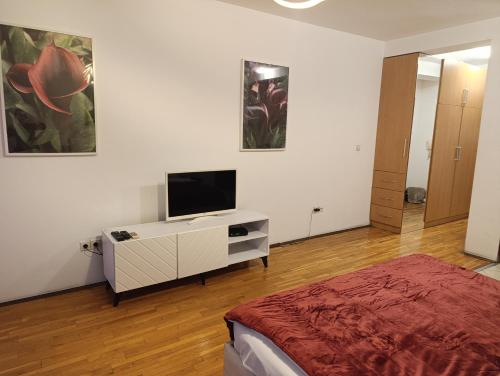 Una televisión o centro de entretenimiento en Kala