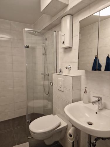 a bathroom with a shower and a toilet and a sink at Linda's Appartement in Bochum