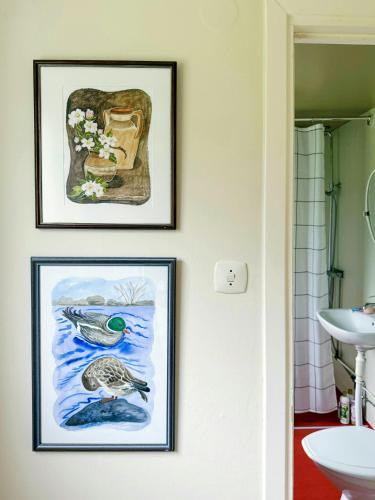 two framed pictures of a bird on a bathroom wall at Classic Swedish Wooden House Near Sea And Forest in Svängsta