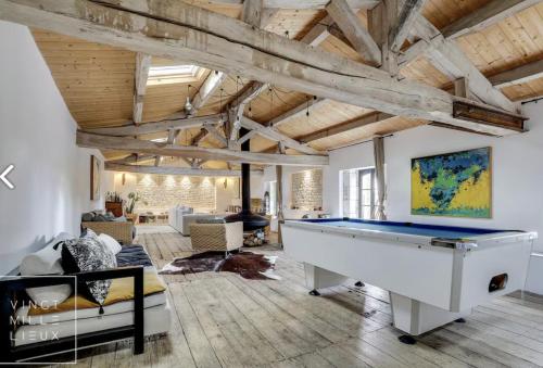 een grote woonkamer met een pooltafel bij Le loft in Croix-Chapeau