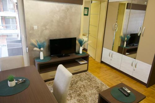 Μια τηλεόραση ή/και κέντρο ψυχαγωγίας στο Apartman Stefan Vrnjacka Banja