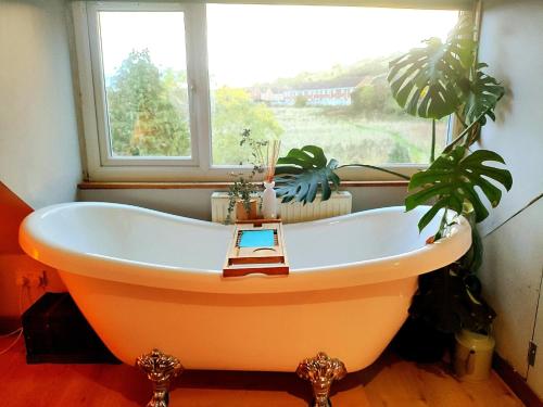 an orange bath tub in a bathroom with a window at Durham Hot Tub - Steam Spa - Eco Retreat - Pizza Oven - Log Burner - Pets Ok - Garden in Langley Park
