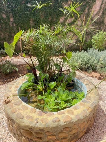 Jardín al aire libre en Dar Minel- Deine Wohlfühloase mit Garten und Sonnenterasse