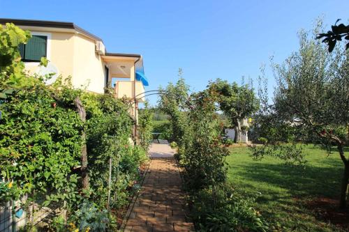 Apartments in Novigrad - Istrien 46738