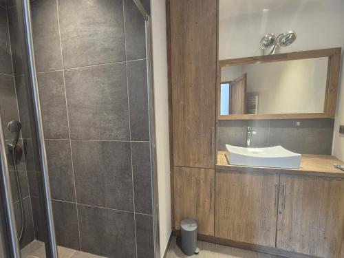 un bagno con doccia, lavandino e specchio di Charmant 2 pièces avec jardin - Hyper centre BSM a Bourg-Saint-Maurice