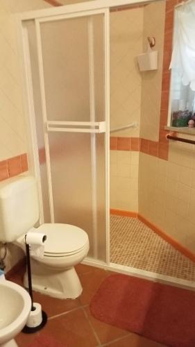 a bathroom with a toilet and a shower at Quinta do Outeiro Alto in Constância