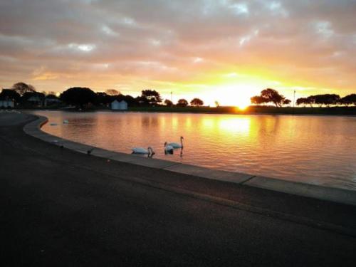 Naturlandskabet i nærheden af lejligheden