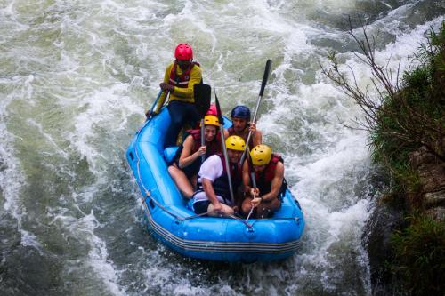 Hosté ubytování Eco Lodges by Ceylon Adventures