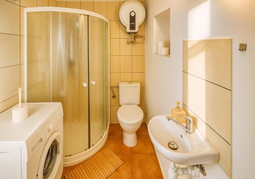 Un baño con ducha, inodoro y lavabo. en Prázdninový dům - Bechyně, en Bechyně