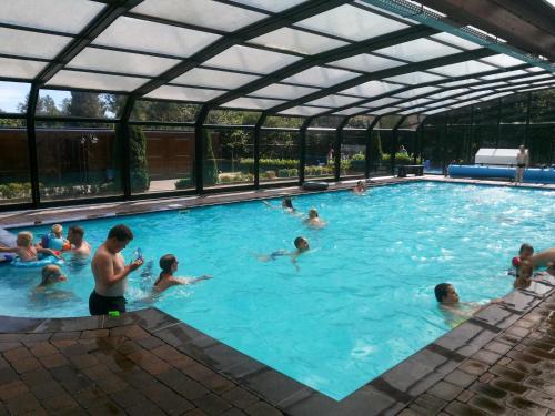 a group of people swimming in a swimming pool at Lekker knus in de Huismus in Diffelen
