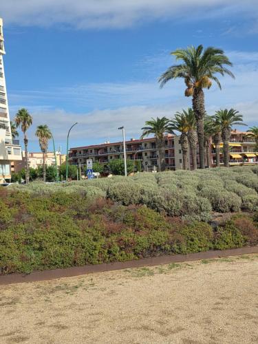 Appartement T3 de 6 places en bord de mer