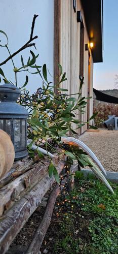 Vườn quanh O'Noire, Viroinval Treignes