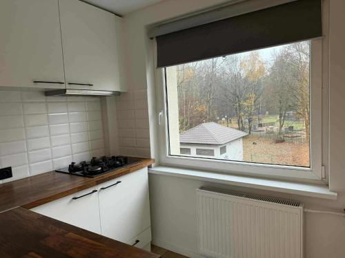 Two Bedroom Apartment LAZDYNAI 주방 또는 간이 주방