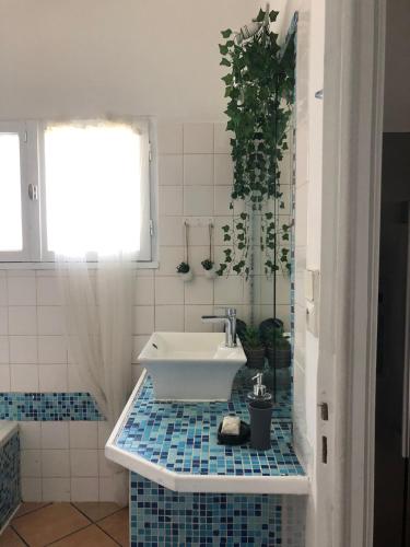 LE BONHEUR AVEC PISCINE ET JARDIN photo 3