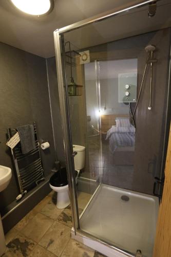 a bathroom with a shower and a toilet and a sink at Lynton Lodge Studios in Keswick