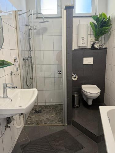 a bathroom with a shower and a toilet and a sink at Apartment Mira 12 in Pulheim
