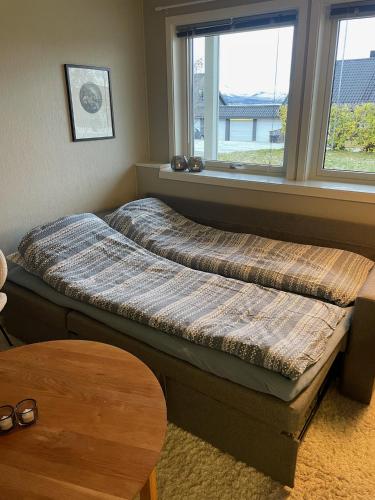 a dog bed in a room with a window at Comfy apartment in Tromsø in Tromsø