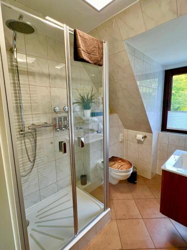 a bathroom with a shower and a toilet at Peedy's luxuriöse 60m² Wohnung mit Balkonterrasse in Stade