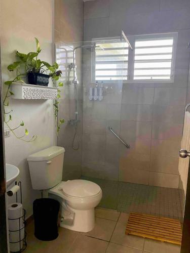a bathroom with a toilet and a glass shower at Rehobot MountainView-Hidden Rainforest Gem in Rio Grande