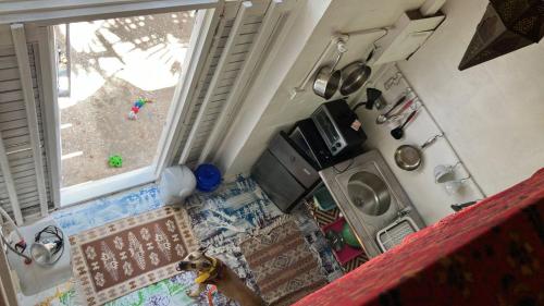 een hond die in een keuken staat en uit het raam kijkt bij wKd bEach loFts THuNDER bAy Colourful in Saint James