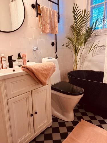 a bathroom with a toilet and a sink and a plant at Torp Solbacka in Raseborg