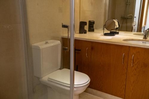 een badkamer met toilet en wastafel bij Business office - Studio with garage in Linda-a-Velha