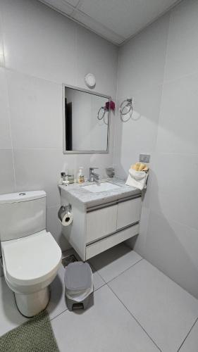a bathroom with a toilet and a sink and a mirror at Large apartment close to everything! North area in Cochabamba