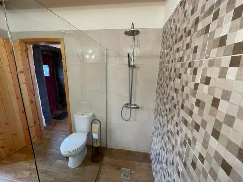 ein Badezimmer mit Toilette und Dusche in der Unterkunft Casa Rústica in Angra do Heroísmo