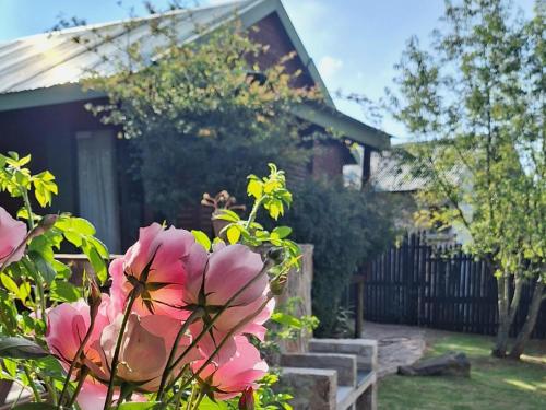 een huis met roze bloemen voor een tuin bij Cinnamon & Sage Country Cabins in Dullstroom