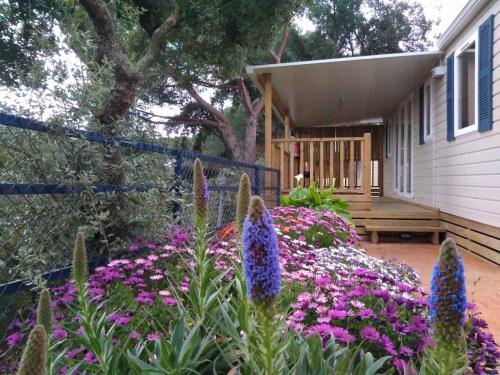 Zahrada ubytování Holiday home in Calella de la Costa 3641