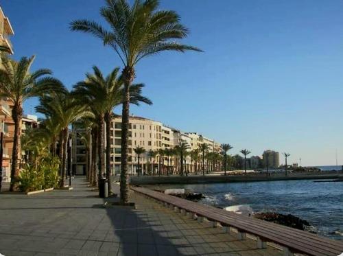 eine Reihe von Palmen auf einem Bürgersteig neben dem Wasser in der Unterkunft El rincón zen- Suite independiente con baño privado y kitchenette in Torrevieja
