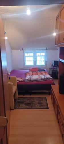 a bedroom with a bed and a window at Schweizerhaus Aue in Aue-Bad Schlema