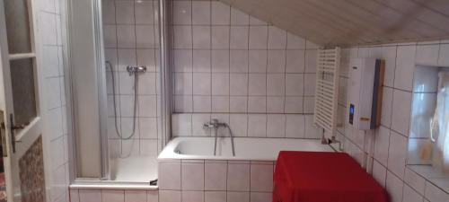 a bathroom with a shower and a bath tub at Schweizerhaus Aue in Aue-Bad Schlema
