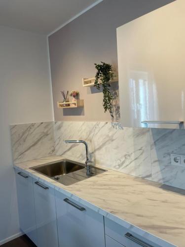 eine Küche mit Spüle und Arbeitsplatte in der Unterkunft Casa Antonius in Lebach