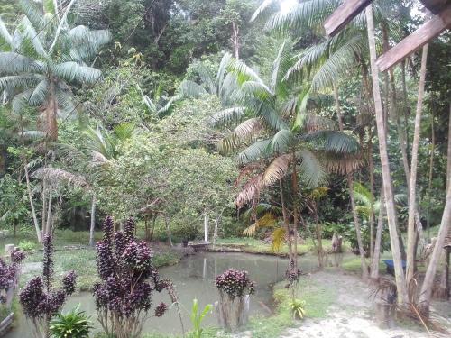 Aed väljaspool majutusasutust Sítio do guerreiro