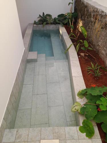 a swimming pool in the middle of a garden at La Kaz Banian in Saint-Pierre