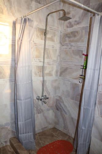 une douche avec un rideau de douche dans une salle de bain dans l'établissement Premium apartment Section A, à Wadi Musa