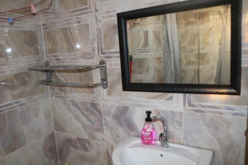 łazienka z umywalką i lustrem w obiekcie Premium apartment Section A w mieście Wadi Musa