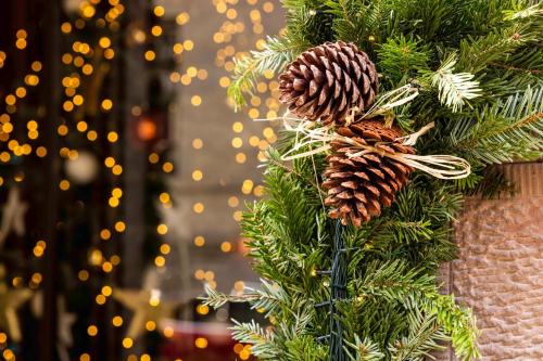 Fotografie z fotogalerie ubytování Hotel Le Colombier v destinaci Colmar