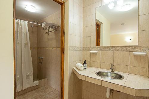 a bathroom with a sink and a shower and a mirror at Hostel Pioneros del Valle in El Chalten