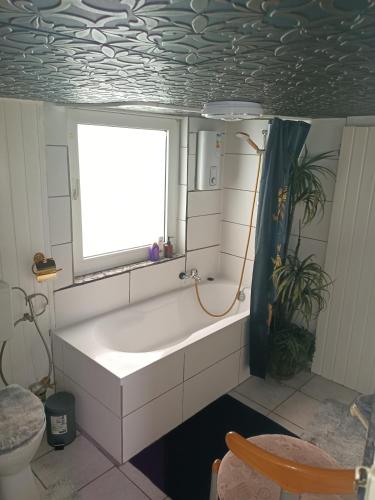 Ένα μπάνιο στο Ferienhaus Olsberg