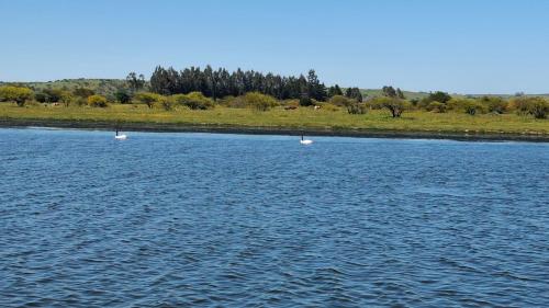 別荘の近くで見られる自然の景観