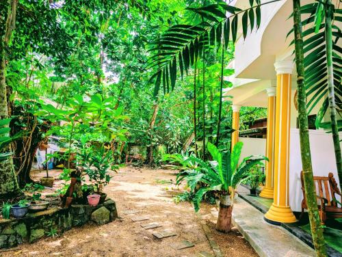 a courtyard of a house with trees and plants at Costels Coconut hill in Mirissa