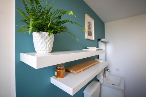 a plant in a vase on a wall in a bathroom at Homey Apartment Obor in Bucharest