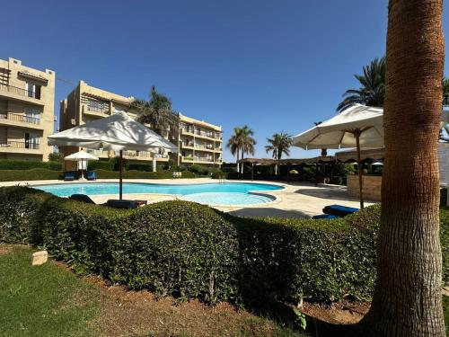 Smart apartment The View Resort