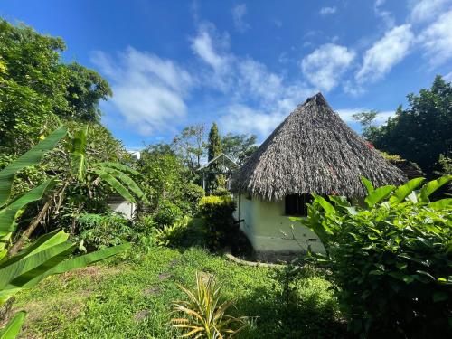 uma pequena casa com telhado de palha num jardim em El Zopilote em Balgue