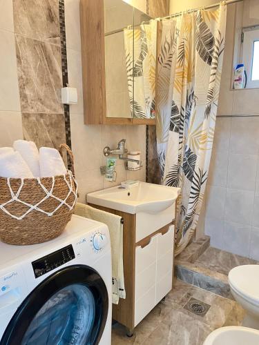 a bathroom with a washing machine and a sink at Viva Sićevo in Železnička Stanica Sićevo