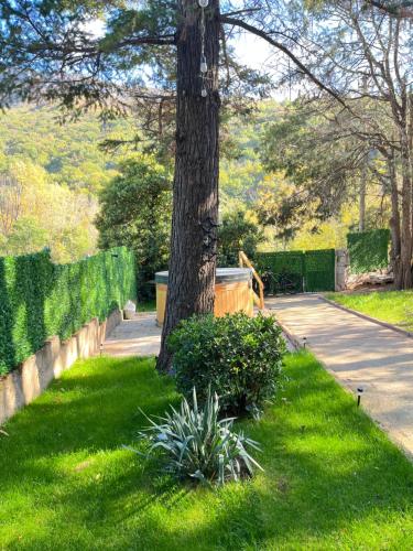a tree in the grass next to a sidewalk at Viva Sićevo 